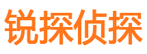 施甸侦探